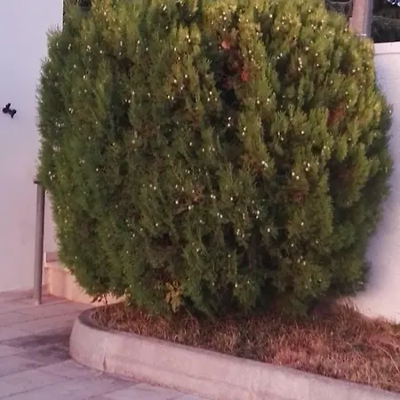 Pietragrande Tatil Evi *